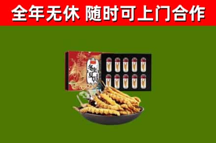 当雄回收冬虫夏草价格